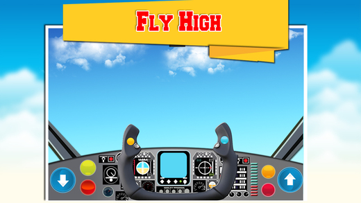 Air Plane Flight Simulator