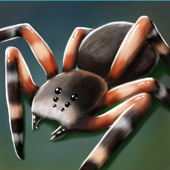 My Pet Spider 3D LOGO-APP點子