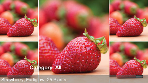 免費下載書籍APP|Vegetable & Fruit - Seed & Plant Store Plus by Wonderiffic® app開箱文|APP開箱王
