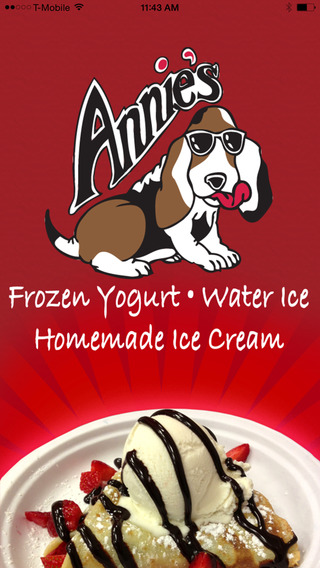 Annie's Frozen Yogurt Water Ice