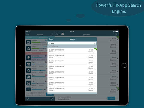 【免費財經App】Best Budget Free for iPad – Control your Expense-APP點子