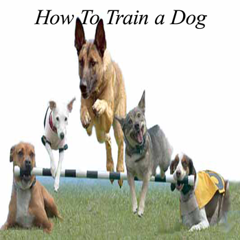 How To Train a Dog - Ultimate Video Guide LOGO-APP點子