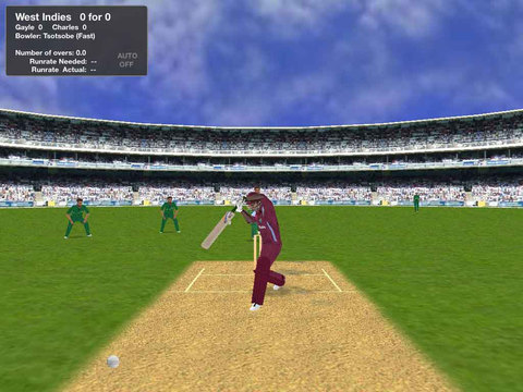 Cricket 3Di screenshot 3