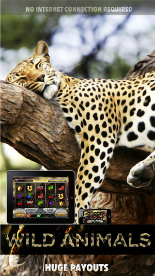 免費下載遊戲APP|Wild Animals Slots - FREE Slot Game Spin To Win Big app開箱文|APP開箱王