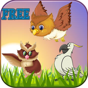 Graden Birds FREE 遊戲 App LOGO-APP開箱王