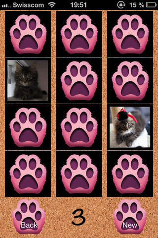 Katzen Paare screenshot 3