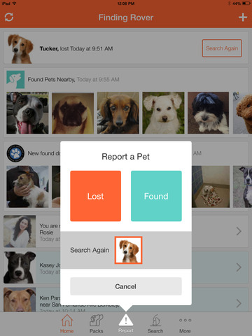 免費下載生活APP|Finding Rover - Facial recognition for dogs to reunite lost dogs with their owners. app開箱文|APP開箱王