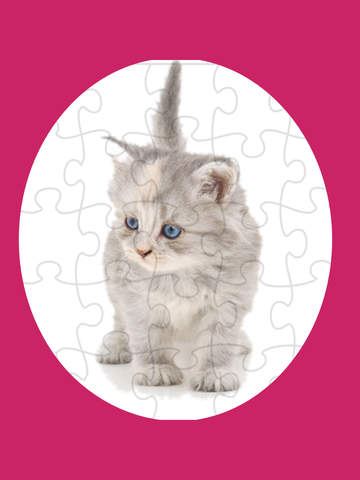 Cute Kitty Jigsaw Pro screenshot 3
