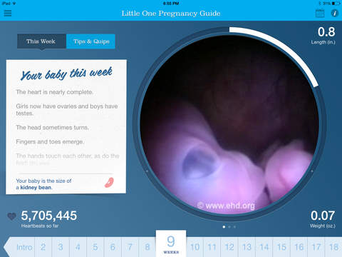 免費下載健康APP|Little One Pregnancy Guide app開箱文|APP開箱王