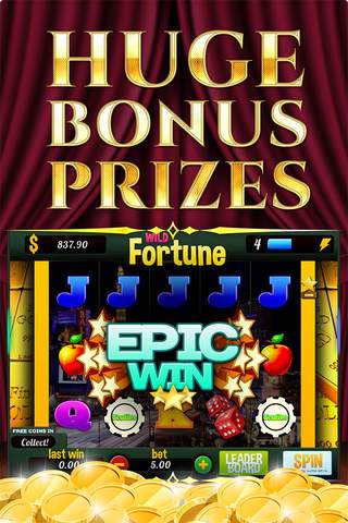 Aaaaaarhg Slots Wild Fortunes FREE Slots Game screenshot 2
