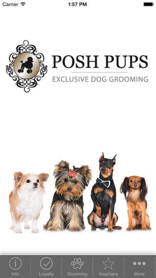 免費下載生活APP|Posh Pupps app開箱文|APP開箱王