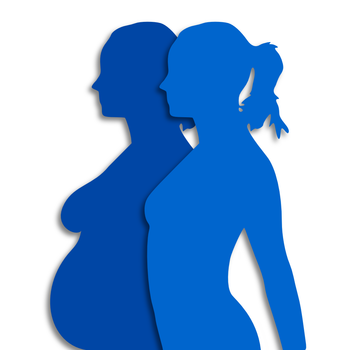 Pregnancy Recorder Pro LOGO-APP點子