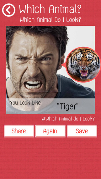 Which Animal Do I Look