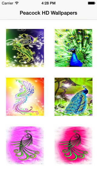 免費下載娛樂APP|Peacock HD Wallpaper for iPhone app開箱文|APP開箱王