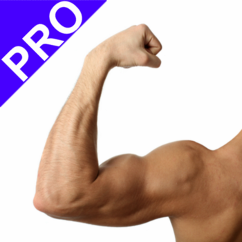 Arm Workout Pro LOGO-APP點子