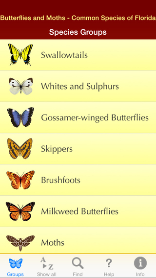Butterflies and Moths - Guide to Common Species of Southern Florida