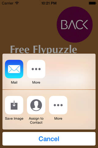 Free Flypuzzle screenshot 4
