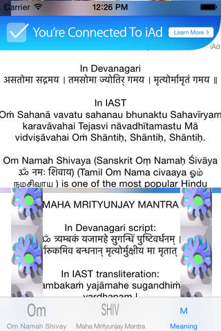 Om Namah Shivaya Mantra Audio screenshot 2
