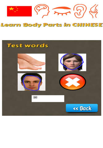 Learn Body Parts in Chinese screenshot 2