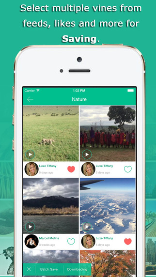 【免費攝影App】vTaker - Video downloader for Vine, save for Vine-APP點子