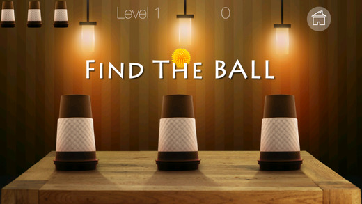 Whack The Cup 2 - Find the hidden ball puzzle
