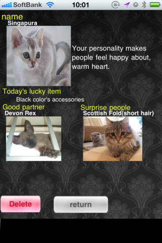 Cat divination screenshot 4