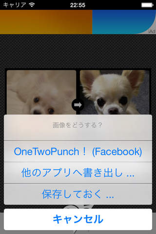 OneTwoPunch screenshot 2