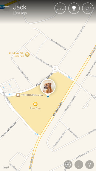 Tractive GPS Pet Finder - Never lose your dog again