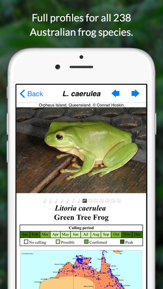 免費下載書籍APP|Frogs of Australia - a complete electronic field guide to Australian frogs app開箱文|APP開箱王