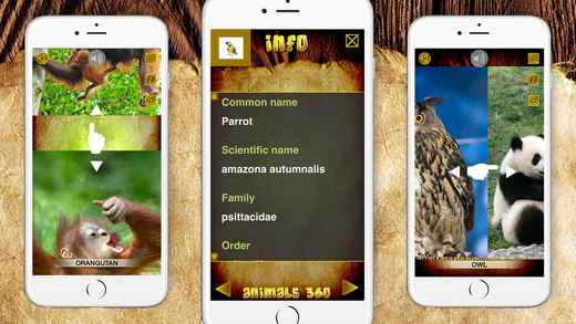 【免費教育App】Animals 360 Gold-APP點子
