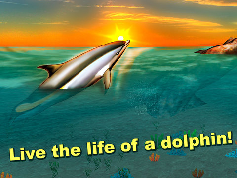 免費下載遊戲APP|Sea Simulator: Dolphin 3D Free app開箱文|APP開箱王