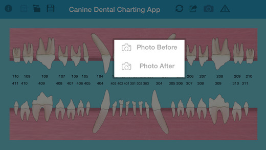 【免費醫療App】Pet Dental Charting- For veterinarians and technicians, Digital solution for dental charting-APP點子