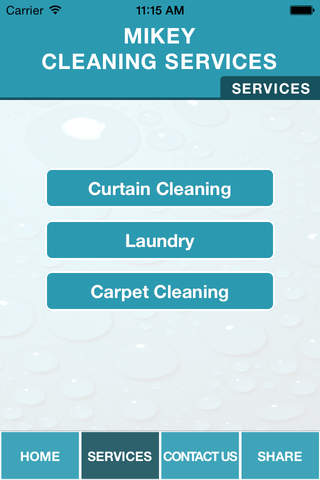 MIKEY CLEANING SERVICES screenshot 3