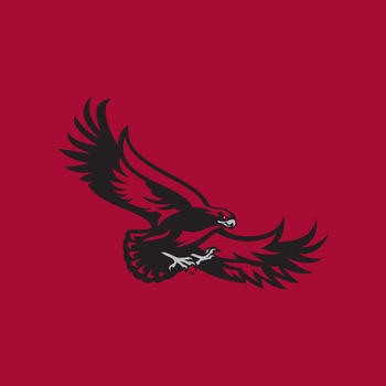 Saint Joseph's Hawks LOGO-APP點子