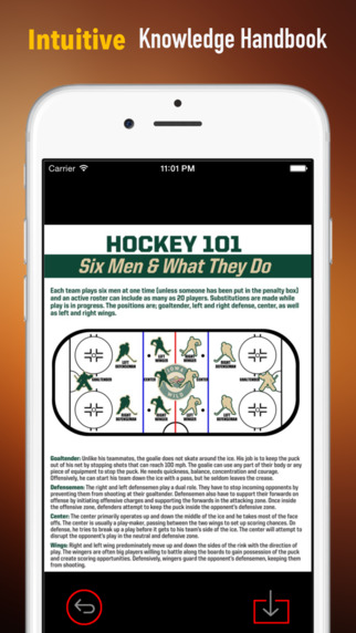 Ice Hockey 101: Quick Study Reference with Video Lessons and Glossary