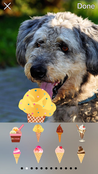 Sweets: Decorate Your Photos with Candy Cakes Ice Cream and Chocolate