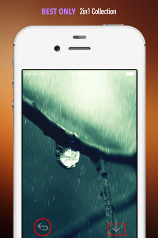 Rain Sounds Ringtones and Wallpapers: Theme your Phone with Gifts of Nature screenshot 4