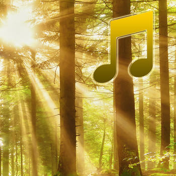 Forest Sounds Relax and Sleep LOGO-APP點子