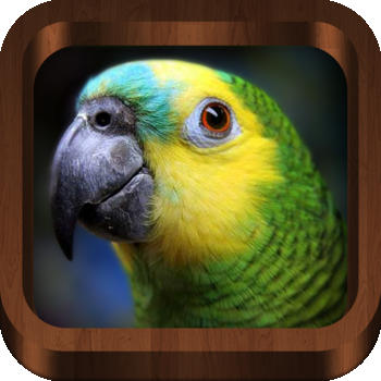 Bird Calls : 4500+ Bird Sounds, Bird Songs, Bird Identification & Bird Guide - Free LOGO-APP點子