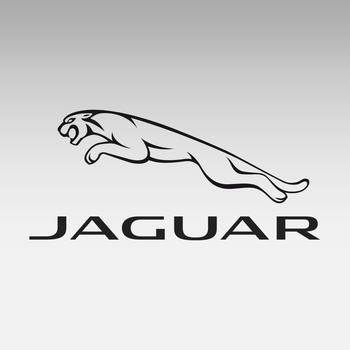 Neubauer Jaguar LOGO-APP點子