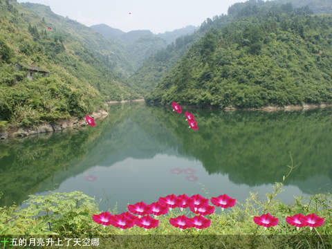 【免費音樂App】玩花、赏风景、听革命歌曲 Chinese Red Songs［玩花游戏］-APP點子