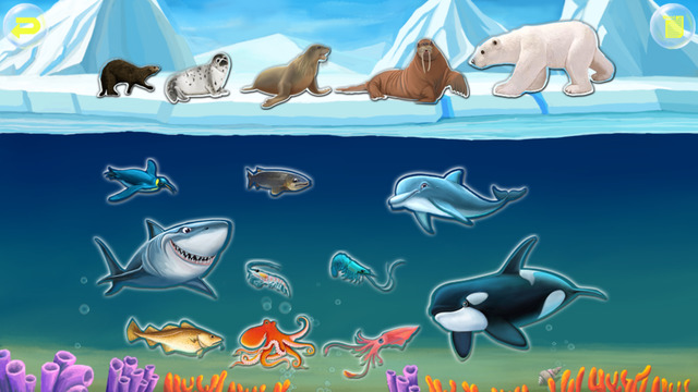 Amazing Ocean Animals- Educational Learning Apps for Kids Free