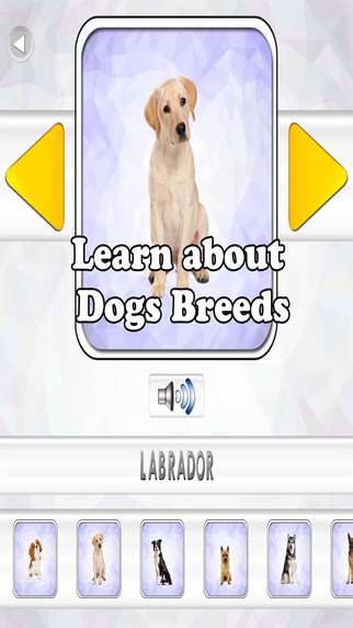 Learn about Dogs Breeds