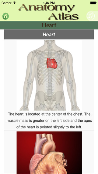 免費下載教育APP|Full Atlas of Human Anatomy - The Best Human Body Atlas . app開箱文|APP開箱王