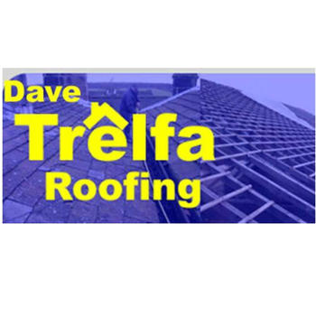 Dave Trelfa Roofing 商業 App LOGO-APP開箱王