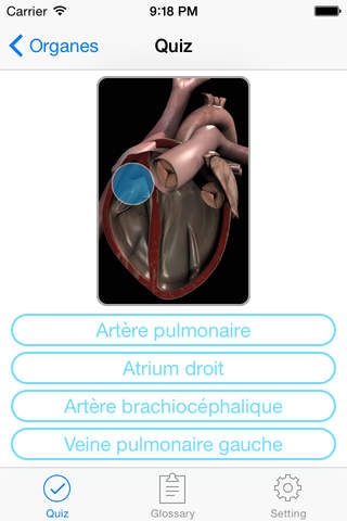 Anatomie Quiz et un Glossaire screenshot 4