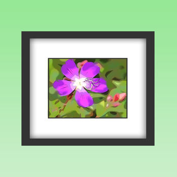 MyFrame - photo frame maker and image border editor LOGO-APP點子