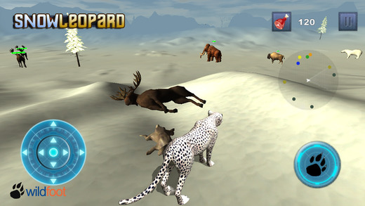 Snow Leopard Chase
