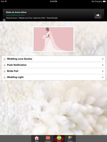 Bridal Wedding Dresses Picture Montage FREE
