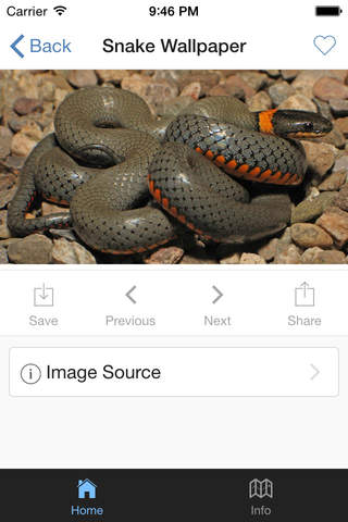 Snake Wallpaper HD screenshot 3
